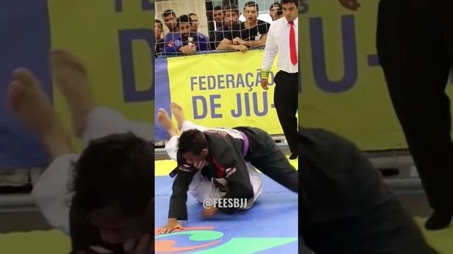 JIU JITSU/ FAIXA ROXA VS AZUL -  #jiujitsu #feesbjj #bjj #brazilianjiujitsu #judô #artesmarciales