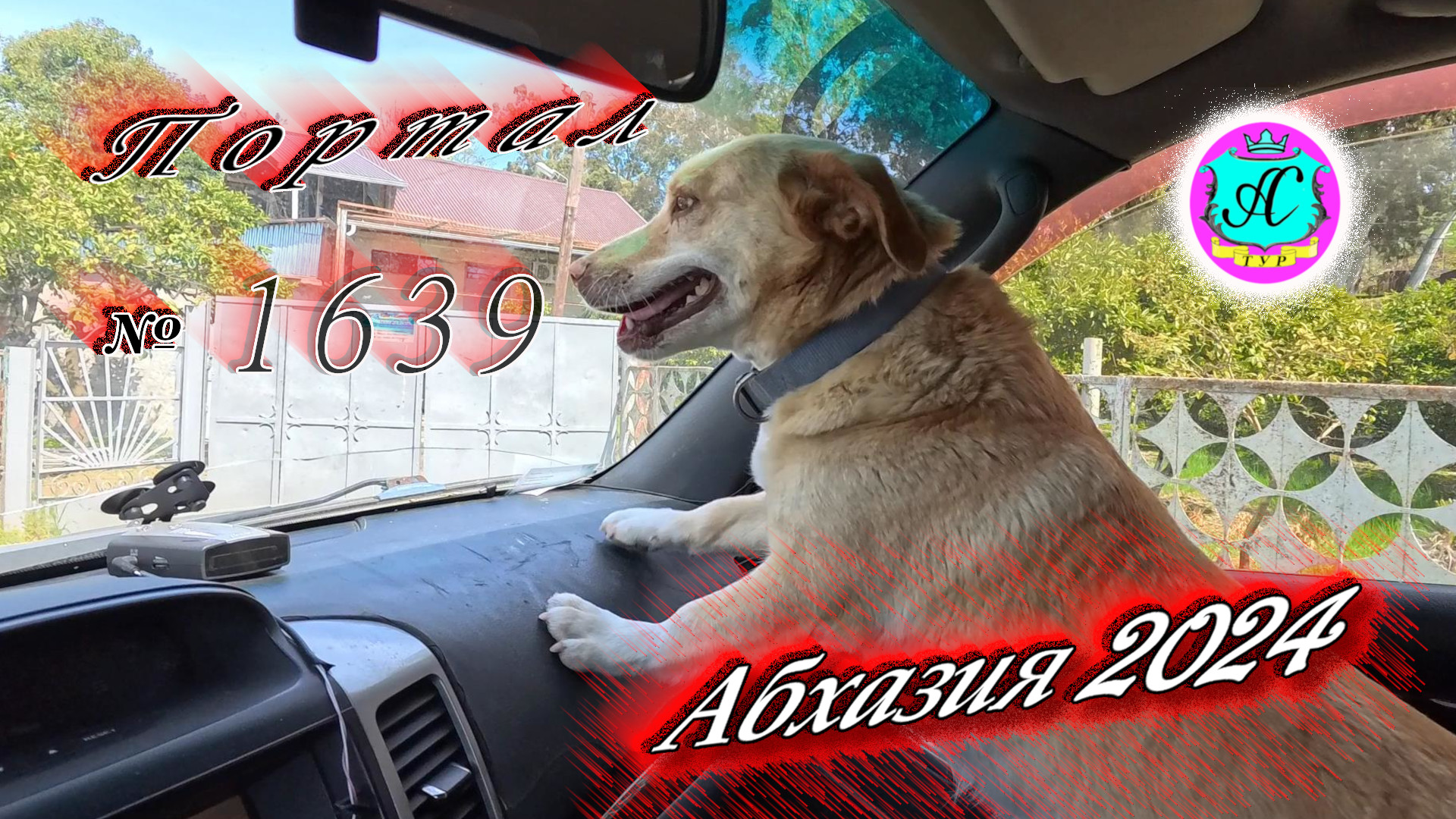 #Абхазия2024 🌴 17 апреля❗Выпуск №1639❗ Погода от Серого Волка🌡вчера 28°🌡ночью +17°🐬море +13,2°