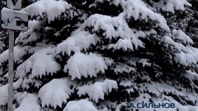 Сказка Зимнего Леса. Прощай Холодная Душа.