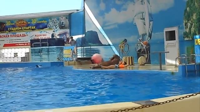 Качаем пресс