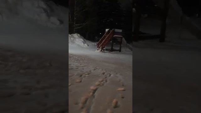 вечерняя. навля