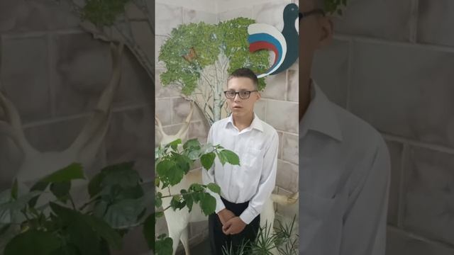 Платошкин Дмитрий, 11 лет, Н.М. Рубцов "Воробей"