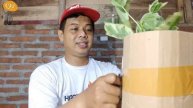 UNBOXING JARAK VARIEGATA ... VARIEGATA LAGI NIH