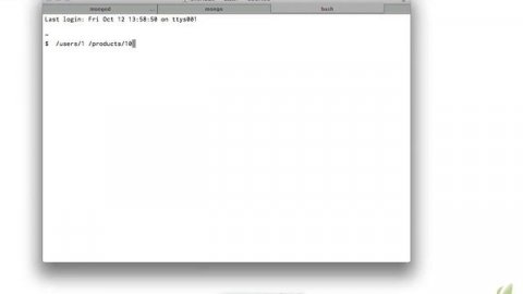 Learning MongoDB part06 objectids