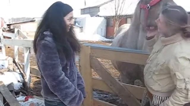 Конюшня)