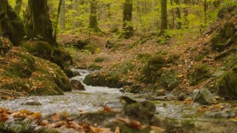 ВОССТАНОВЛЕНИЕ НЕРВНОЙ СИСТЕМЫ ? Нежная музыка, успокаивает нервную систему и радует душу