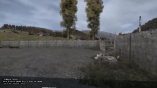 DayZ #2 (Много вещей и ран..)
