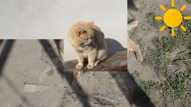 БЫСТРОЕ ВИДЕО 2 часть