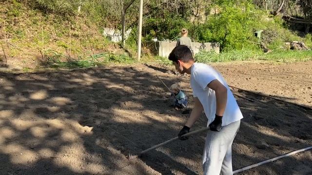 Planting and DESIGNING our VEGETABLE garden | Our Portugal Homestead rescue
