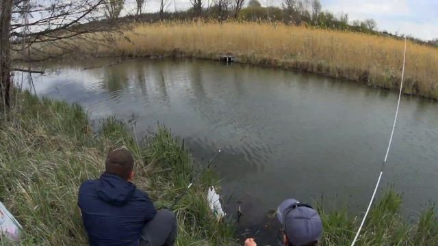 Разведка на карася l Карась на Херабуну и Кормаки l Убийца карася