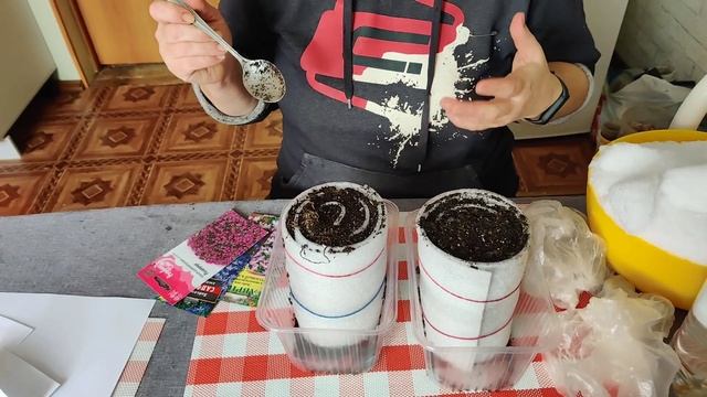 Посев лобелии в улитку. Мой первый опыт.