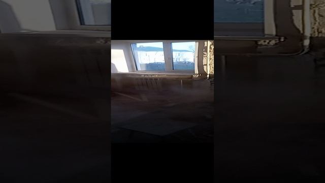 VID_20231020_165505.mp4