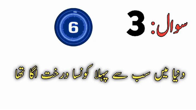 Hindi & Urdu reddles | Urdu & Hindi paheliya jawab Kay Sath | Braintrain134