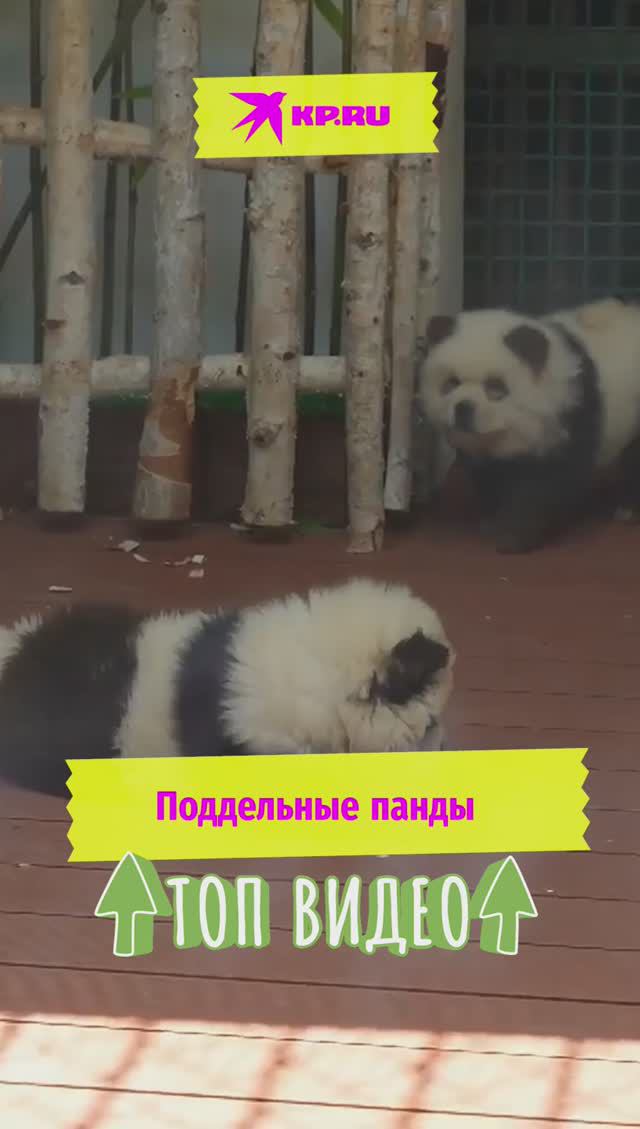 Поддельные панды
