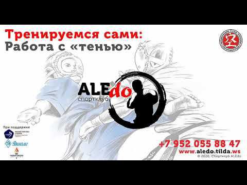 Тренируемся сами: работа с "тенью" / Training alone: Shadow Training