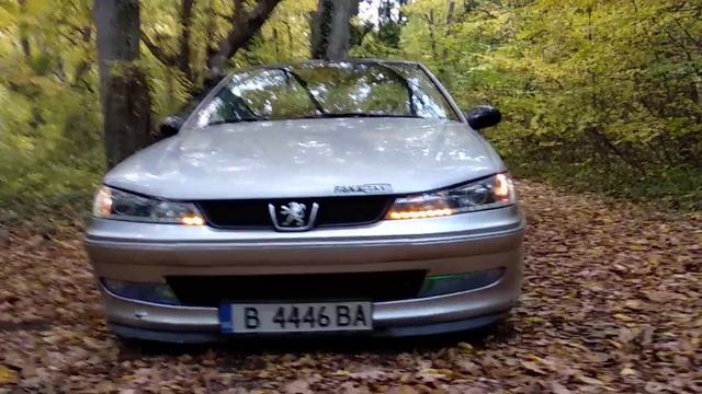 Peugeot 406 new daylight and sequeintel turn signal