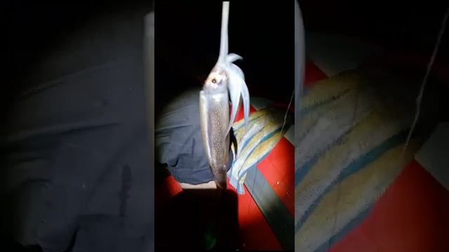 1000055810.mp4