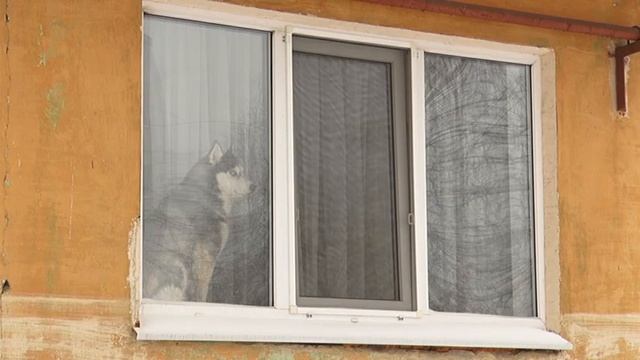 Новодвинск: Дом будет красивым и теплым