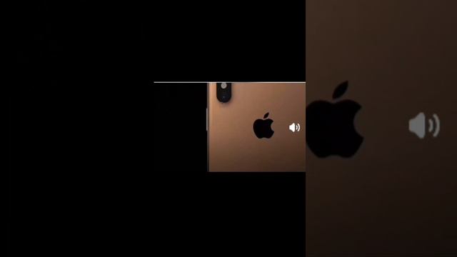 apple XS XS MAX