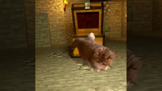 Котик впервые в мире Майнкрафта