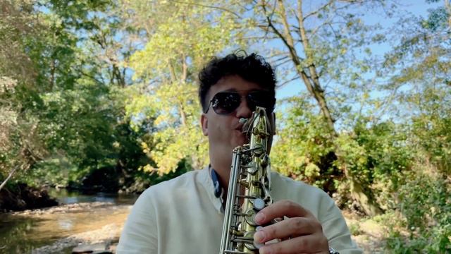 Ukranian Folk song. "Чорнобривці" (saxophone cover)