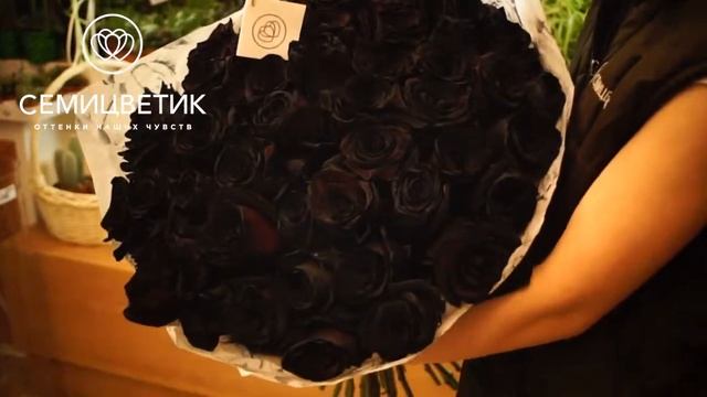 Букет из 51 черной розы (Эквадор)