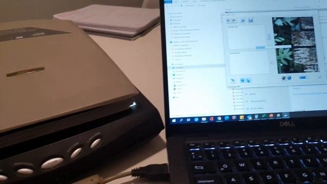 Scanner Genius Colorpage HR8 En Windows 10 Funcionando