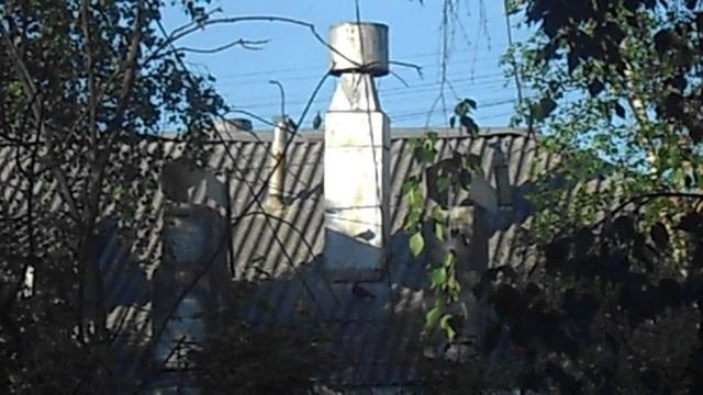 Голуби на крыше 34668 DSCN5410