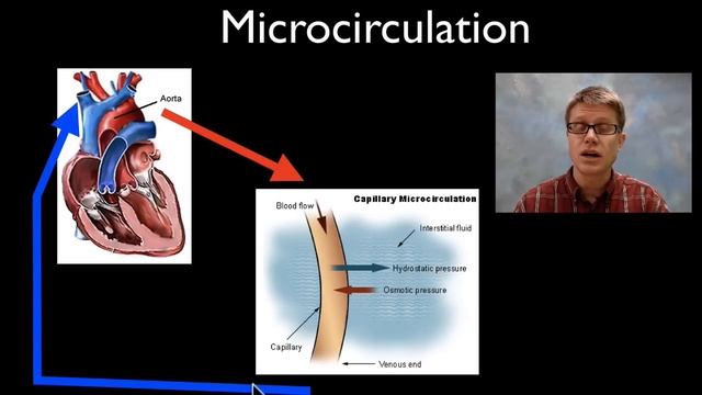 Interstitial Fluid
