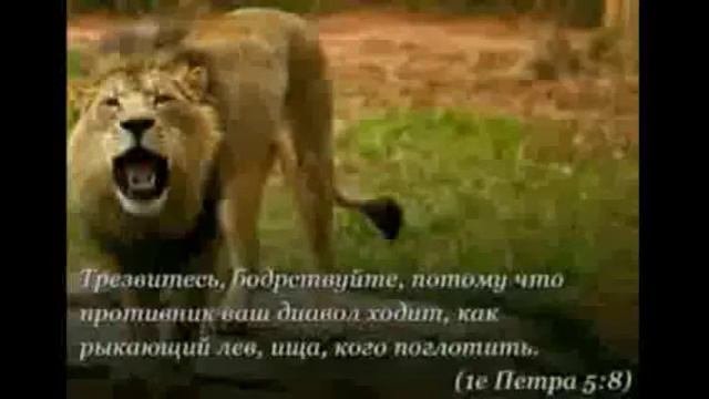 Дэвид Вилкерсон - дьявол ищет поглотить вас