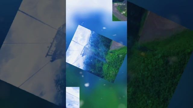 сочи 2022 роза кутор