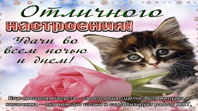 Полезные продукты февраля