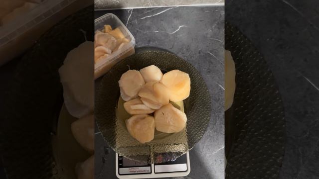 Гребешок морской