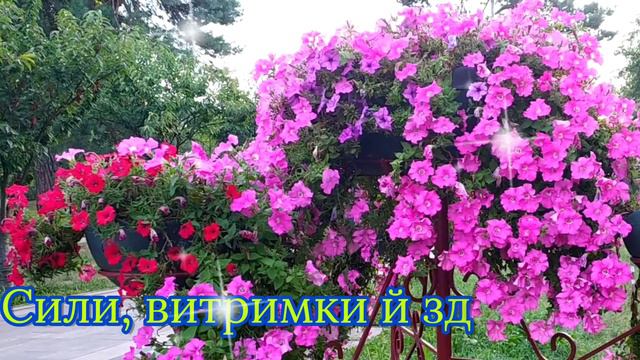 Доброго ранку! Гарного дня! З добрим ранком! Музичне привітання.