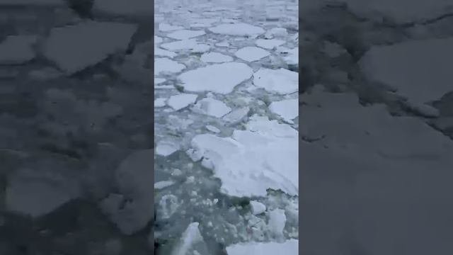 Охотском море