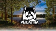 Русская рыбалка 4 | РР4 | Троф белый амур на Остроге
