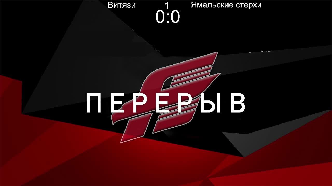 Витязи - Ямальские стерхи 25.03.2023