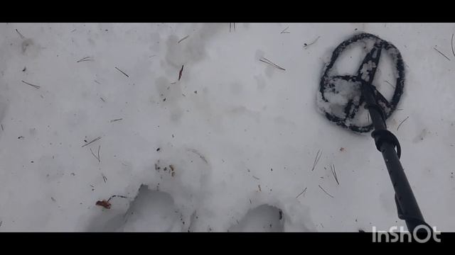 зимняя прогулка в лесу с металлоискателем