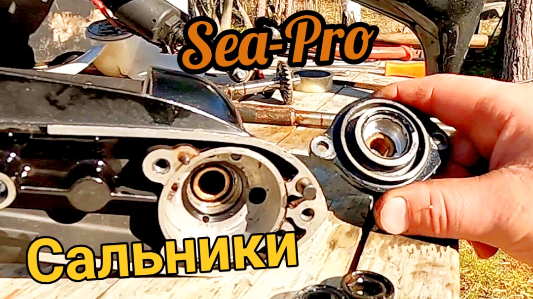 Лодочный мотор Sea-Pro 2.5  замена сальников редуктора,нюансы!