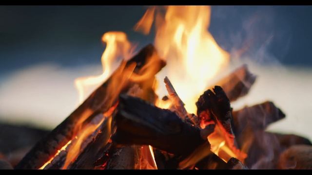 AdobeStock_239780742