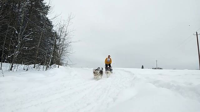 Чемпионат Ленинградской области 2021 зима