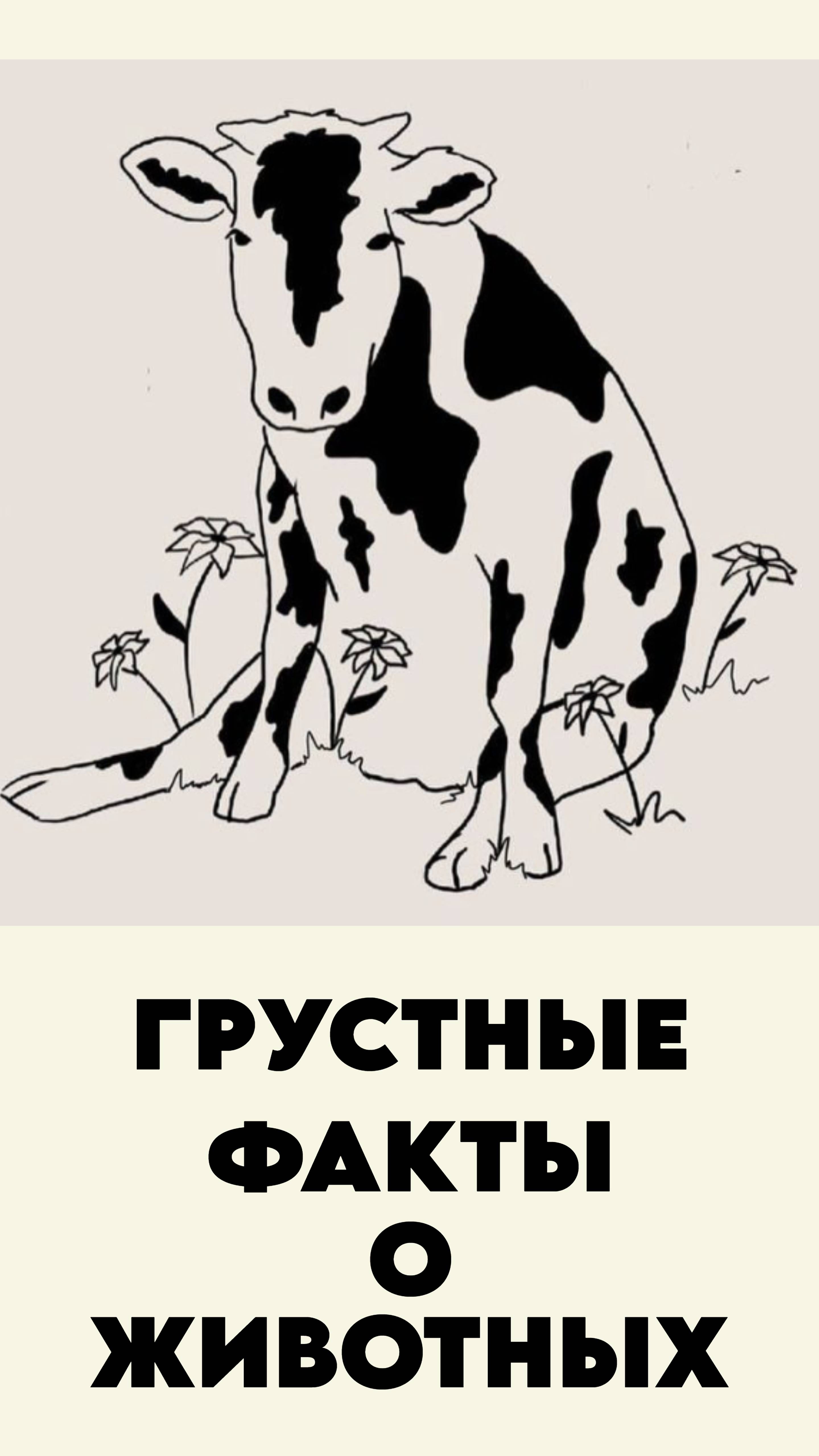 Грустные факты о животных 14