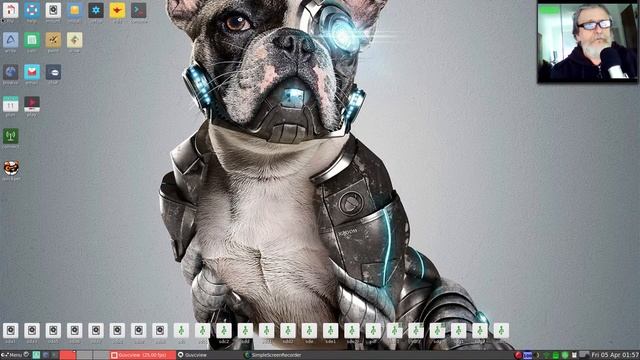 20190405 BionicPup Offline Wikipedia Library