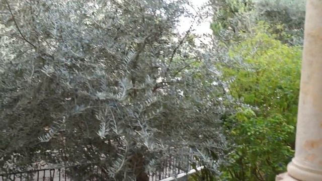 Колокола - Bells in YMCA Jerusalem