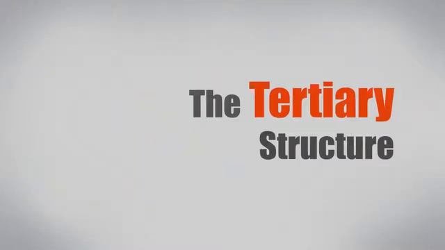 Что такое белок