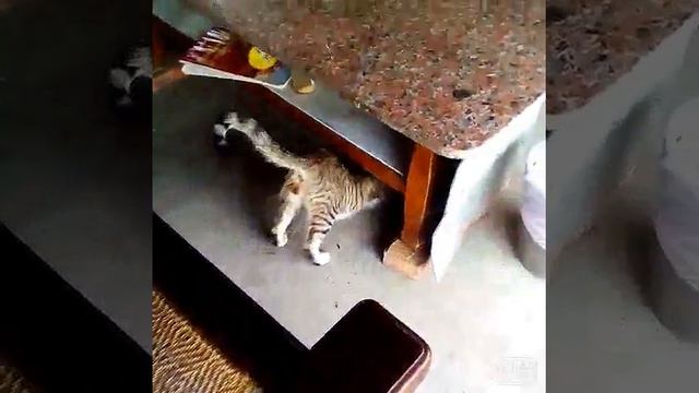 攝影師的怪癖
