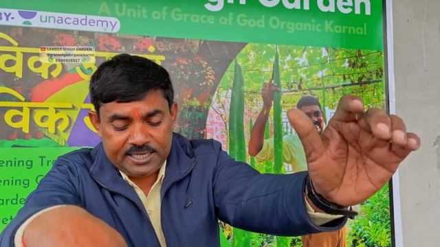 गमला भर देंगे मोटे मोटे हज़ारी गेंदे || एक पौध में सैकड़ों बड़े बड़े African Marigold उगाएँ