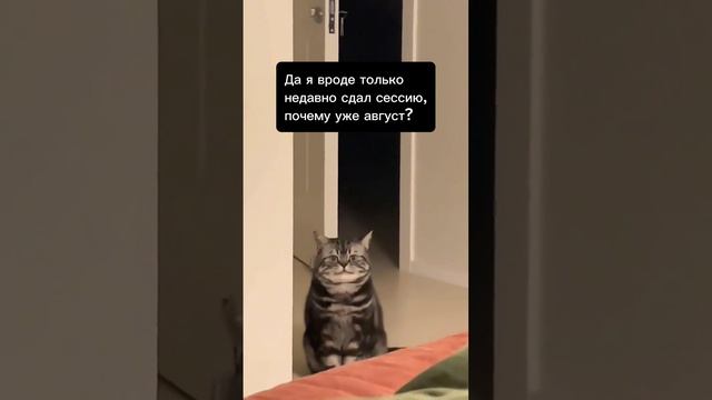 Уже август?!