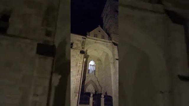 (VIDEO)Alba-iulia(catedrala-romano,catolică)2021📹⛪🇹🇩🤗🥀🥰💗👼🏽❤️🙂