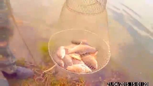 Рыбалка в Молдове на озере Пятихатка!